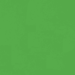 RAL 6019 Verde pastel