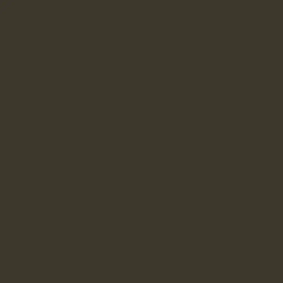 RAL 6022 Brown olive 1