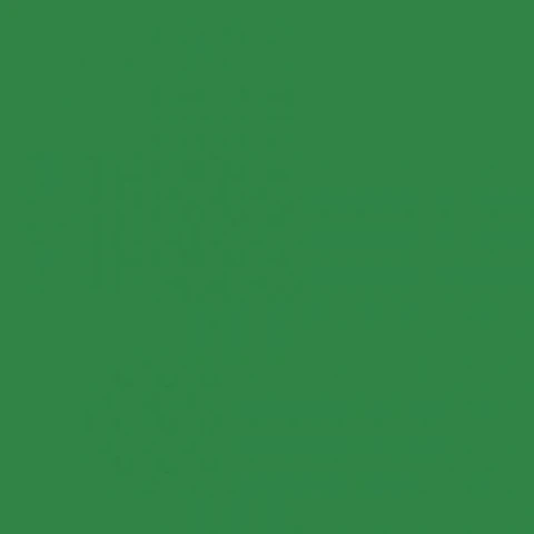 RAL 6024 Traffic green