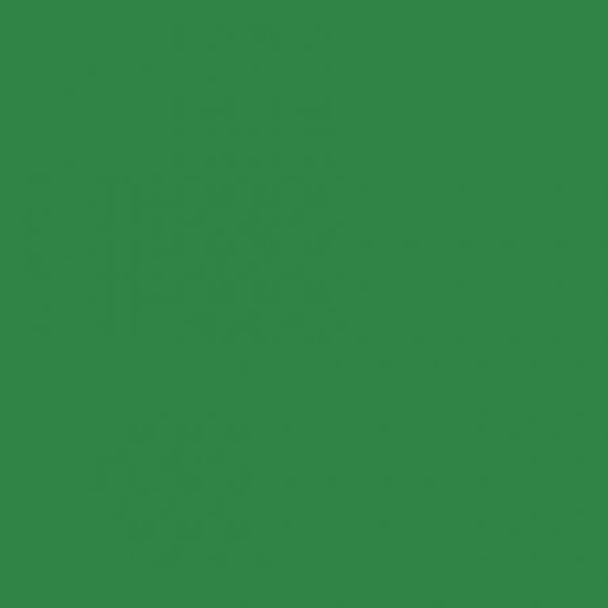 RAL 6024 Traffic green 1