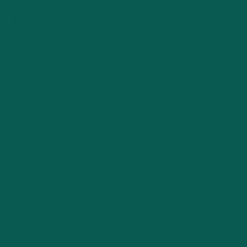 RAL 6026 Opal green 1