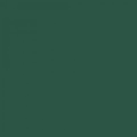 RAL 6028 Pine green