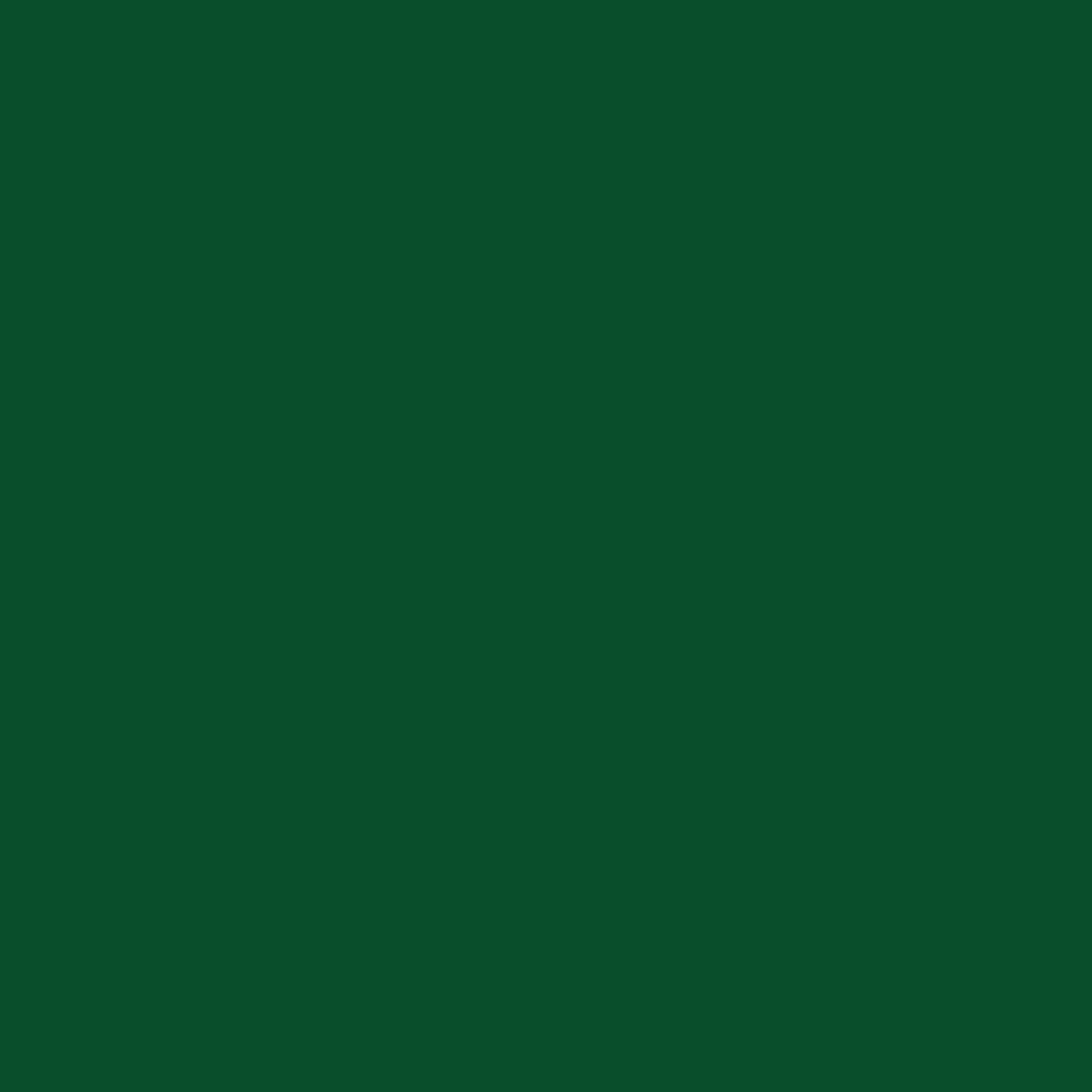 RAL 6035 Pearl green 1