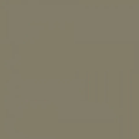 RAL 7002 Olive grey