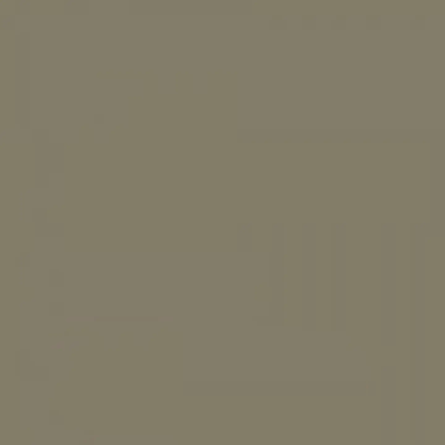 RAL 7002 Olive grey 1