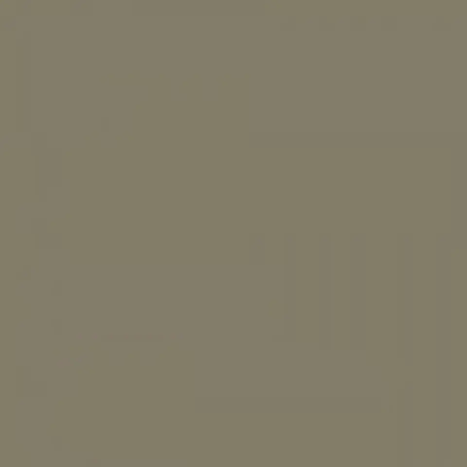 RAL 7002 Olive grey 1