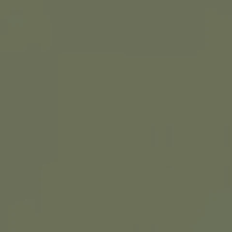 RAL 7003 Moss grey