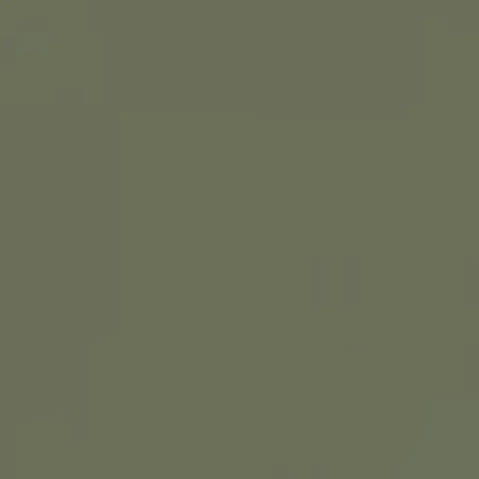 RAL 7003 Gris musgo 1