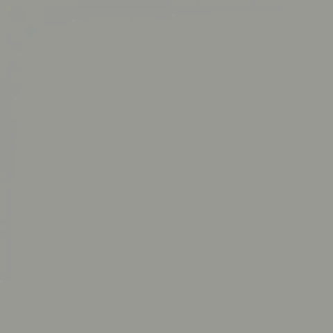 RAL 7004 Signal grey
