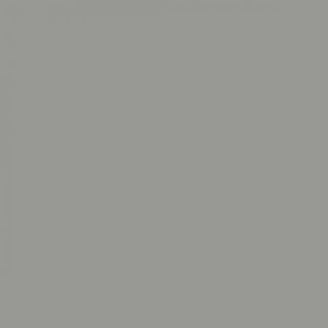 RAL 7004 Gris signal 1