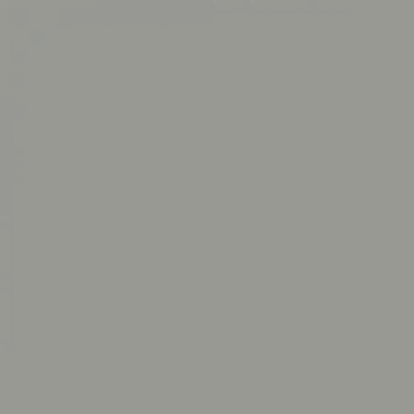 RAL 7004 Signal grey 1