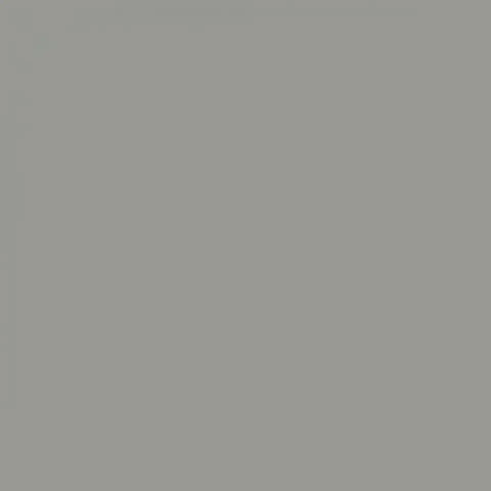 RAL 7004 Signal grey 1