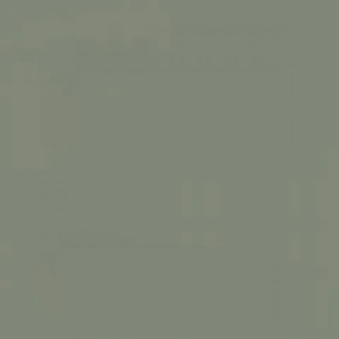 RAL 7033 Cement grey