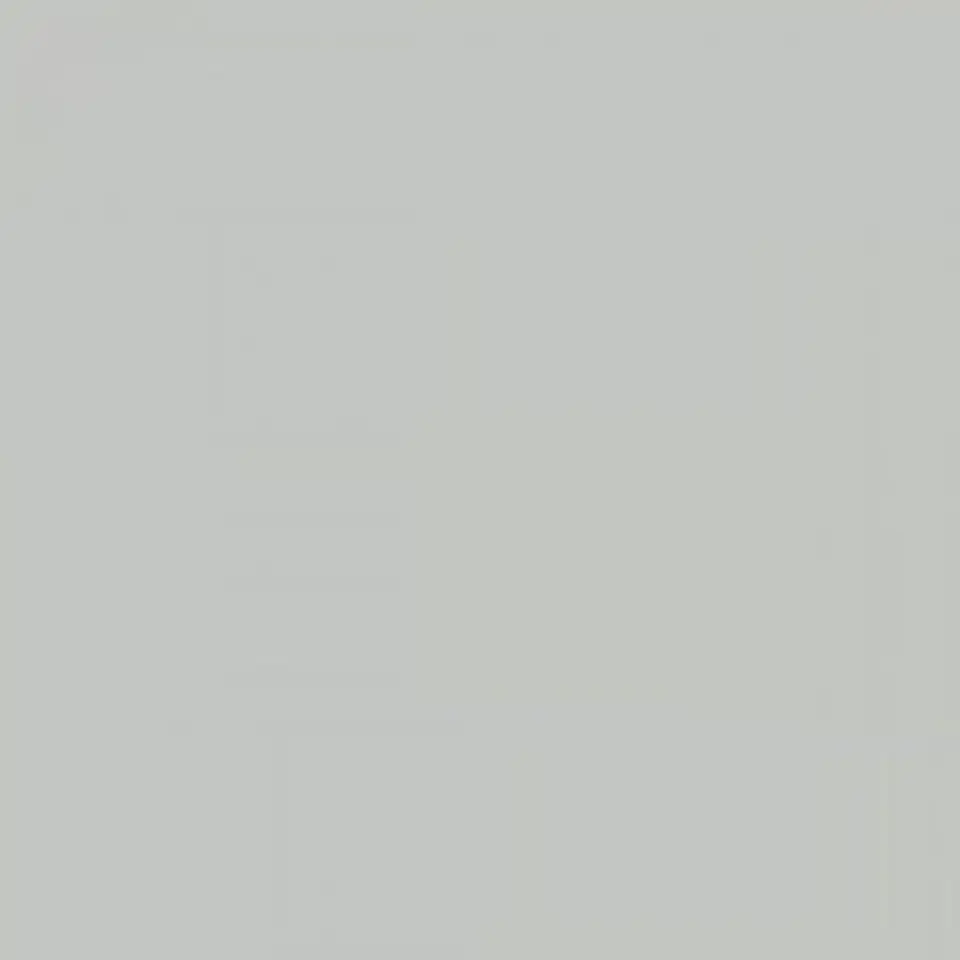 RAL 7035 Gris clair 1