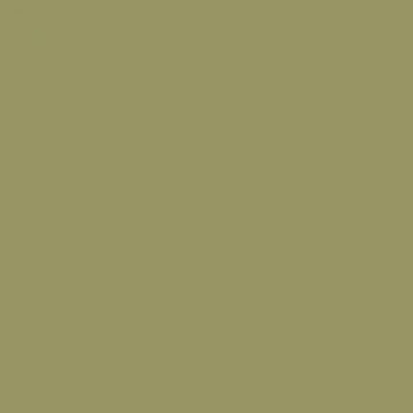 RAL 8000 Green brown 1