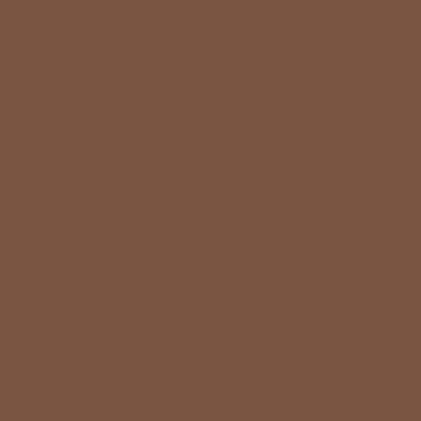 RAL 8002 Signal brown 1