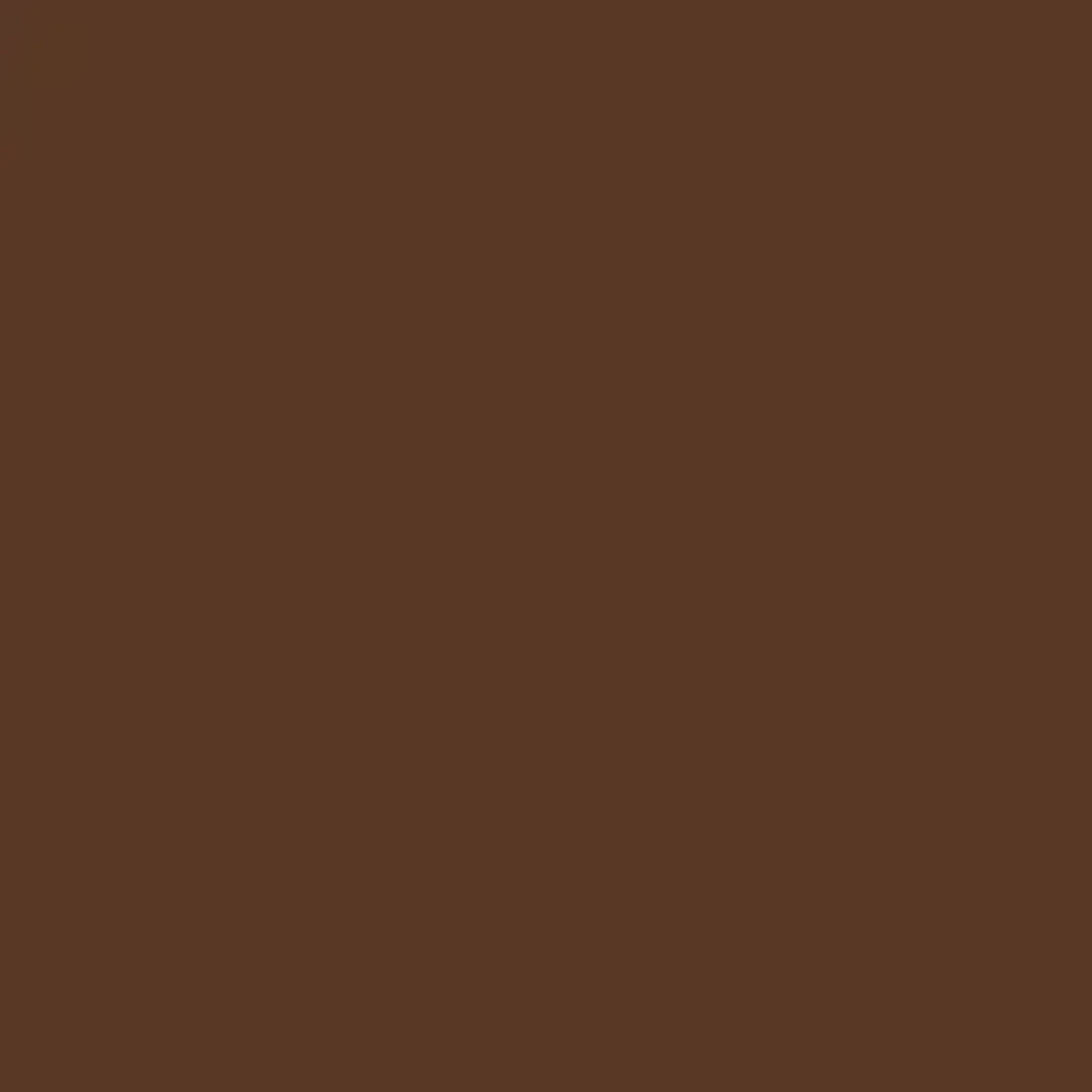 RAL 8007 Brun fauve 1