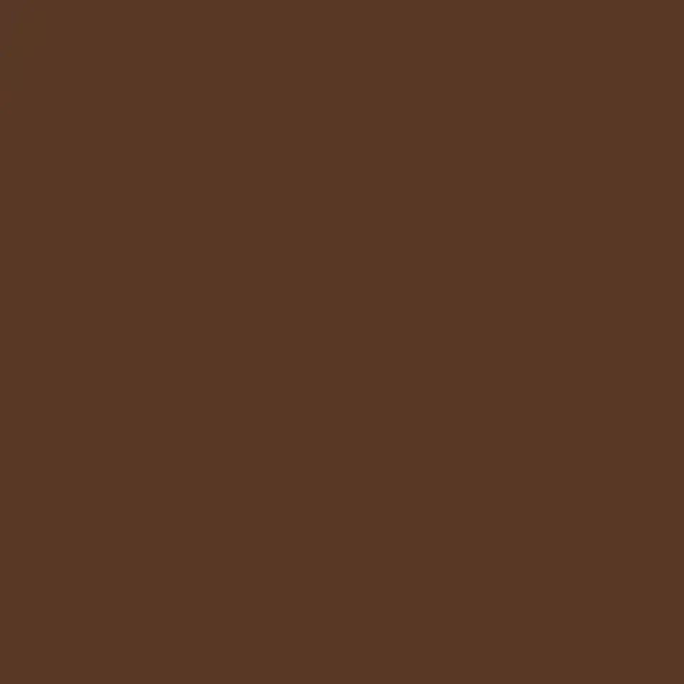 RAL 8007 Brun fauve 1