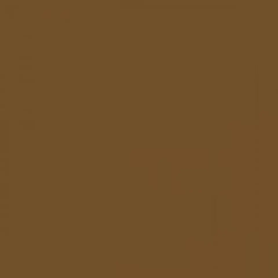 RAL 8008 Olive brown 1