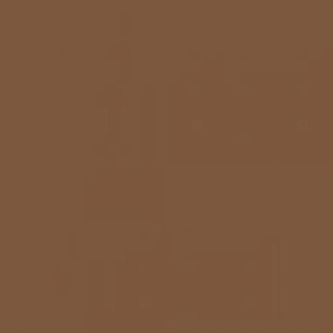 RAL 8024 Beige brown