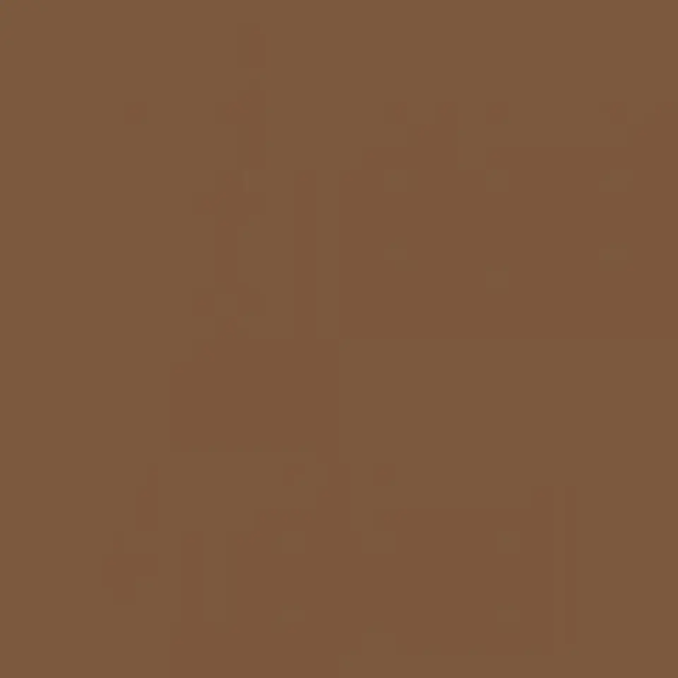 RAL 8024 Beige brown 1