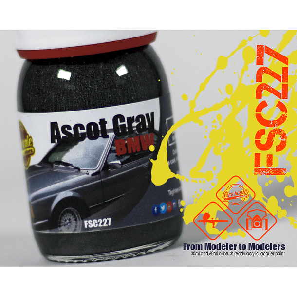 Ascot Gray BMW 1