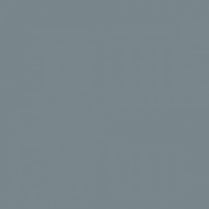 RAL 7000 Squirrel grey - 400ml 1