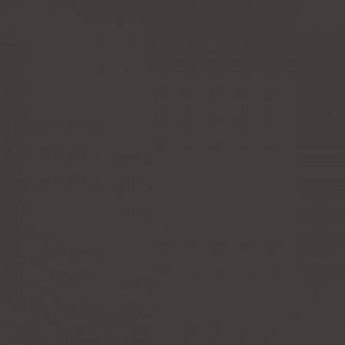 RAL 8019 Grey brown - 400ml 1