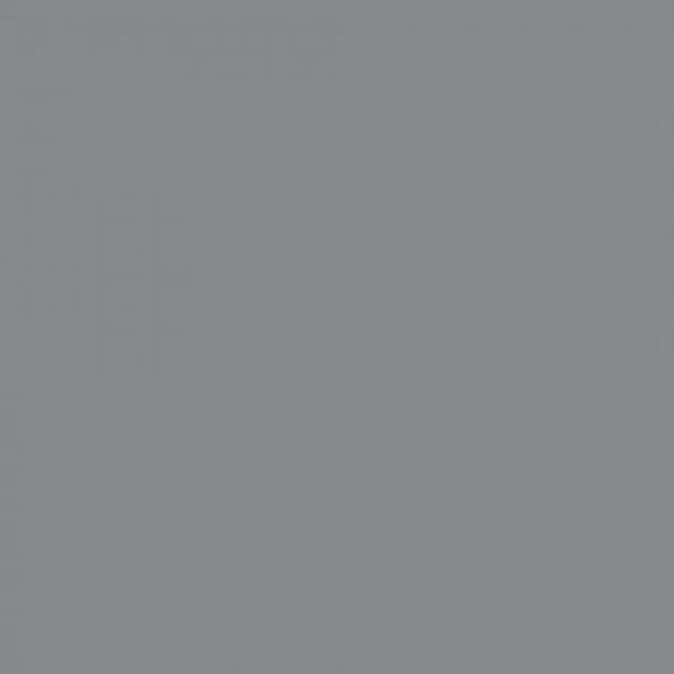 RAL 9023 Pearl dark grey - 400ml 1