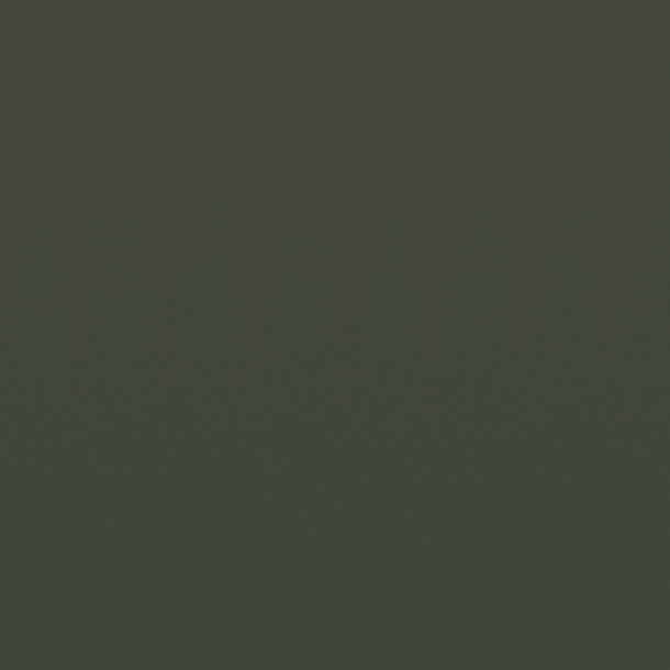 RAL 6031 Bronze green