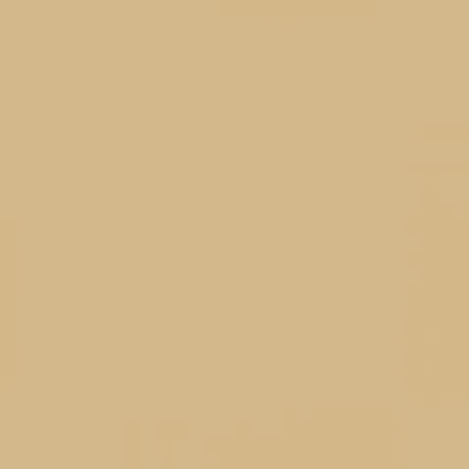 Ral 1001 Beige 1