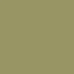 Ral 1020 Olive Yellow