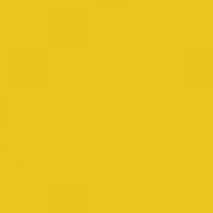 Ral 1021 Colza Yellow
