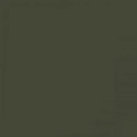 RAL 6003 Olive Green