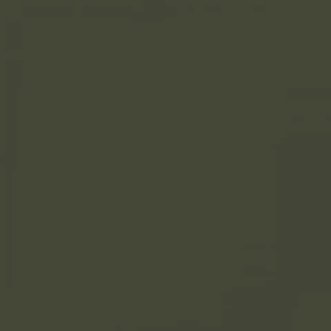 RAL 6003 Olive Green 1