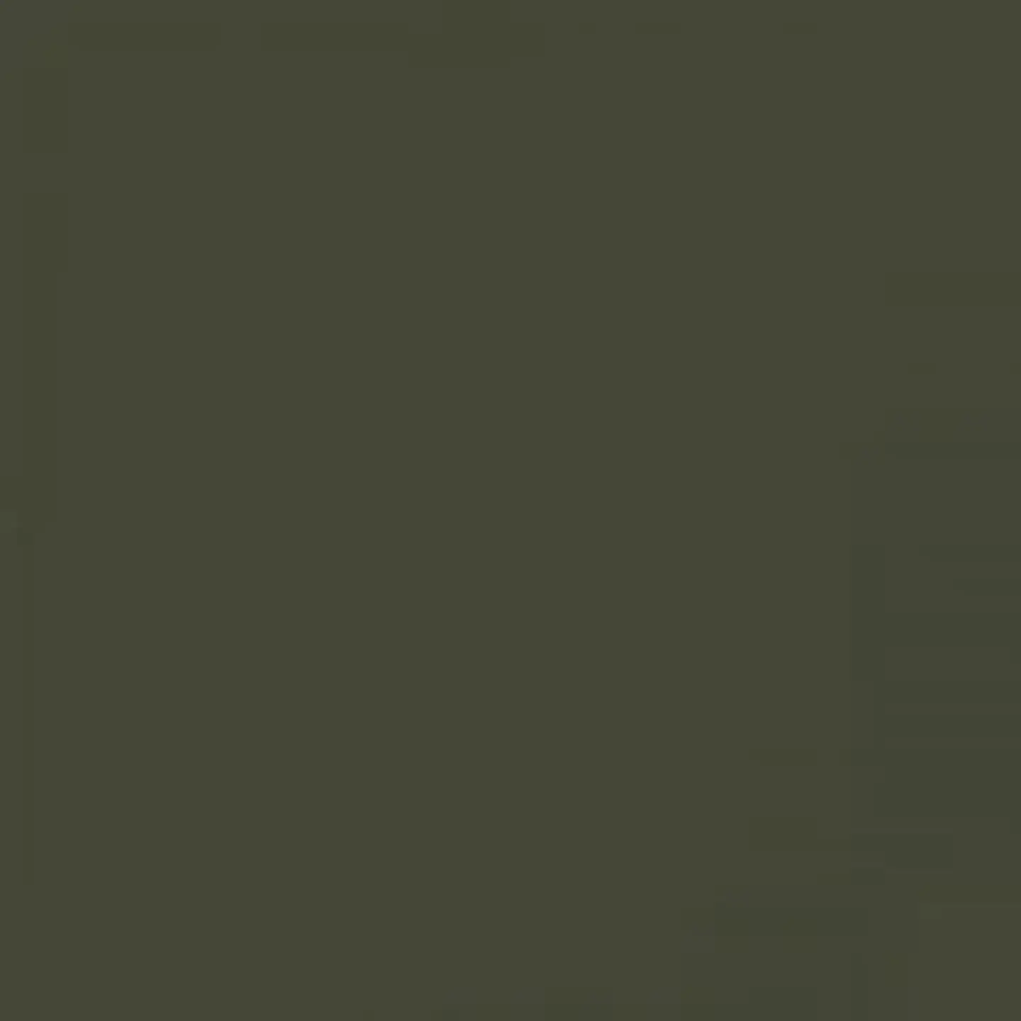 RAL 6003 Olive Green 1