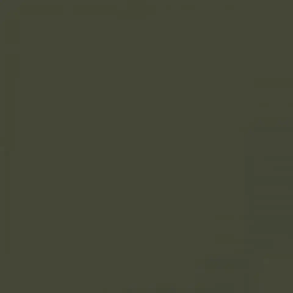 RAL 6003 Olive Green 1