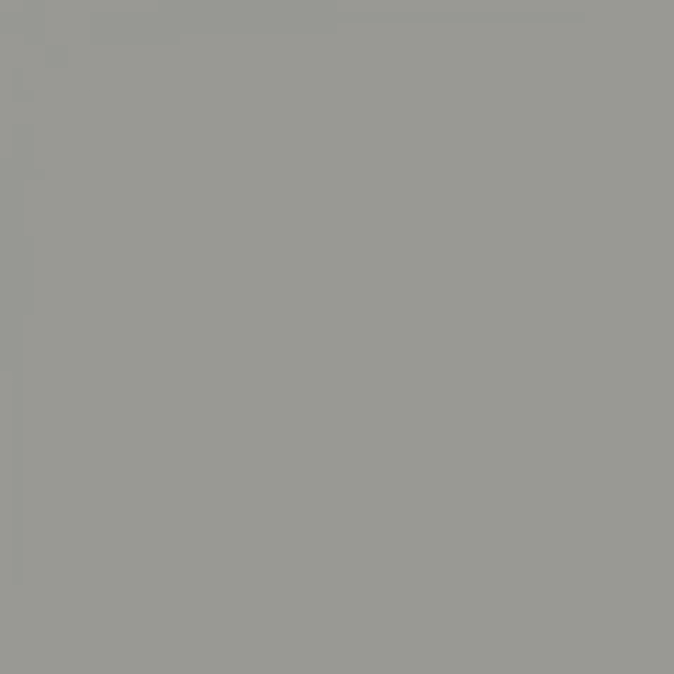 RAL 7004 Signal Grey 1