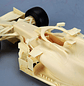 Red Bull RB16B 1/20 - Thumbnail 13