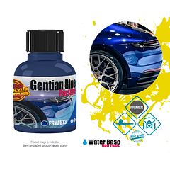 Gentian Blue Porsche