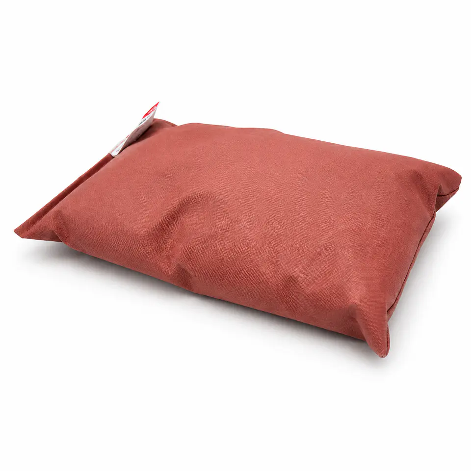COR Astro Pillow 1