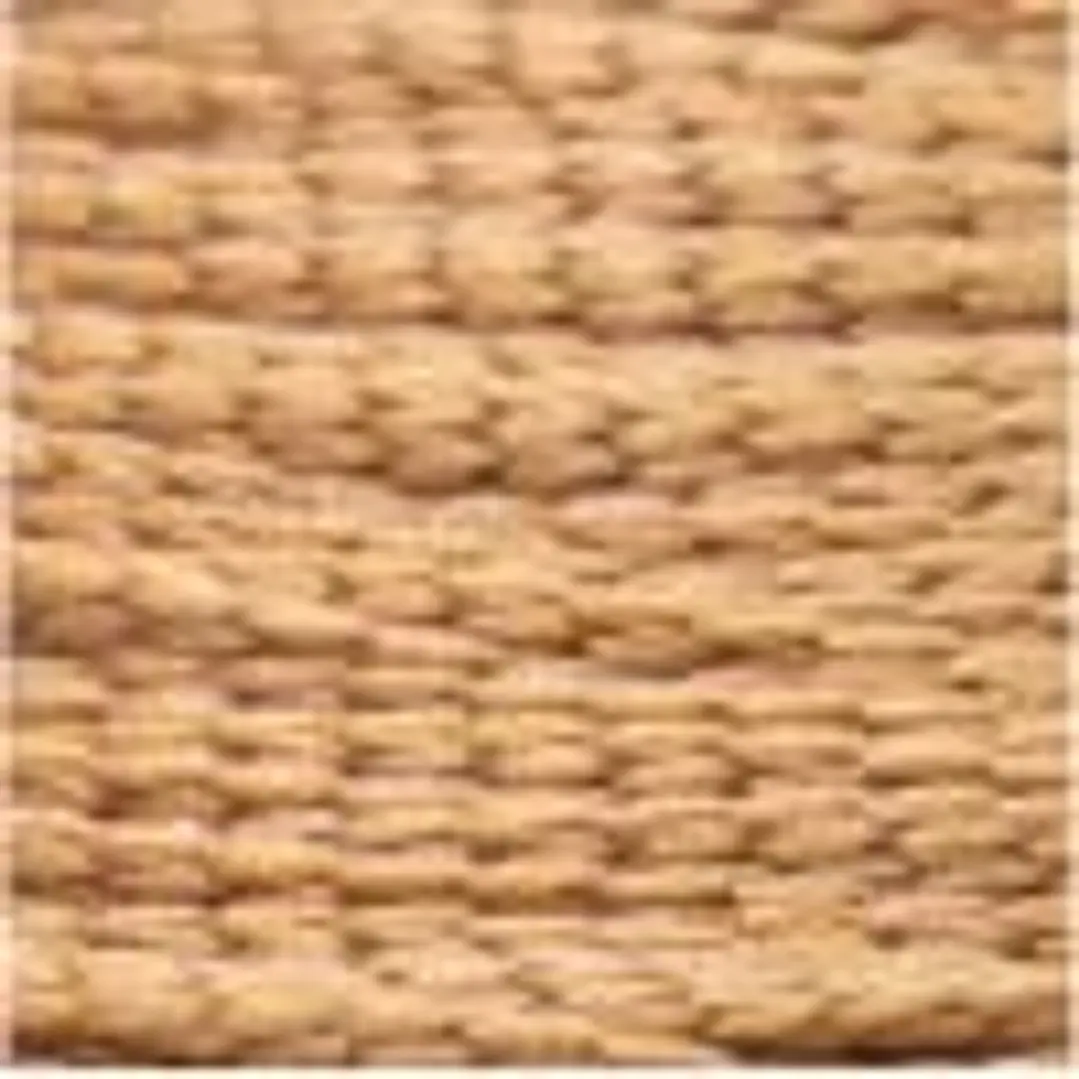 Phyno 2mm - Cordão 100% Poliéster - 400m - Camel - 10010 2