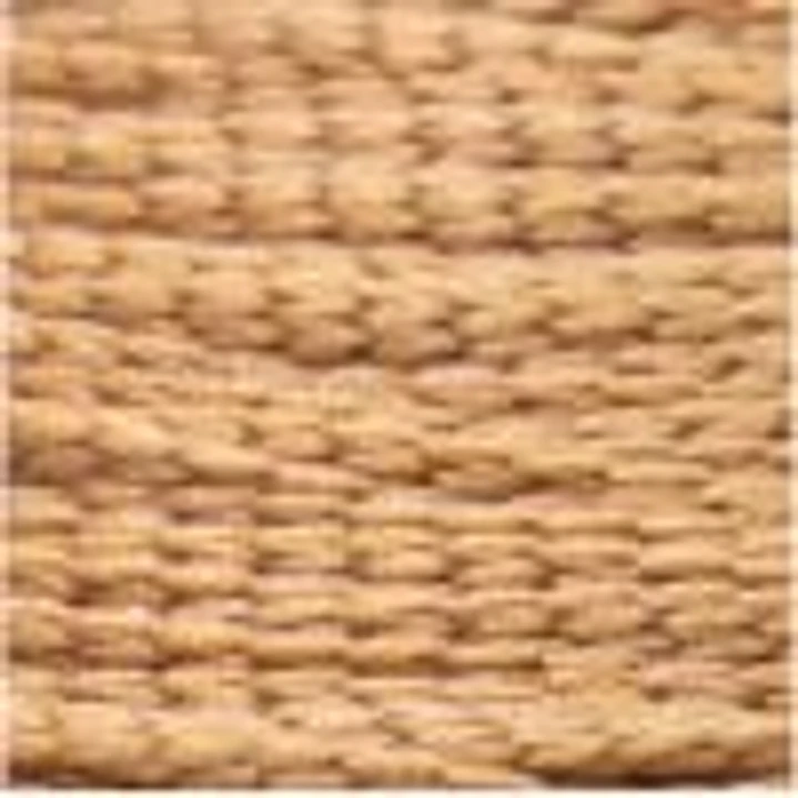 Phyno 2mm - Cordão 100% Poliéster - 400m - Camel - 10010 2