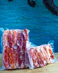 CARNE CENTOLLA MAGALLÁNICA KG - thumbnail 2