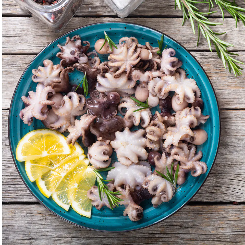 PULPO BABY  1
