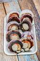 OSTION MEDIA CONCHA BANDEJA - thumbnail 2