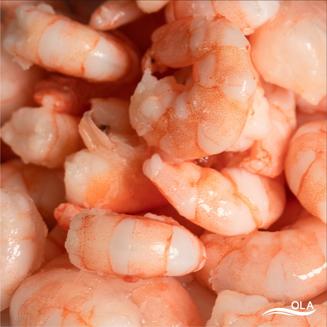 Camarón asiático cocido 26/30 kg