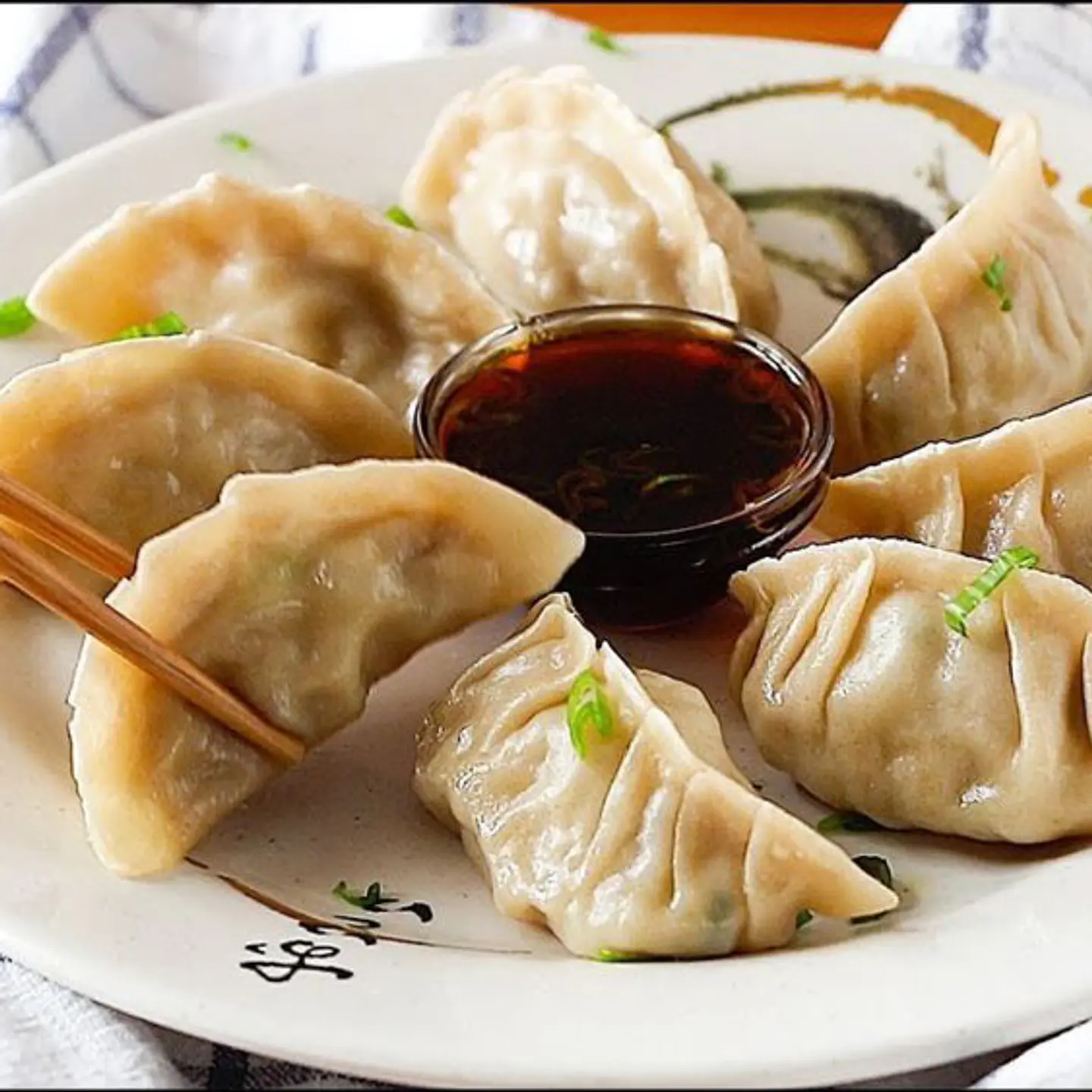GYOZAS DE VERDURAS  1