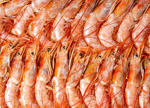 LANGOSTINO PATAGÓNICO ARGENTINO ENTERO CAJA 