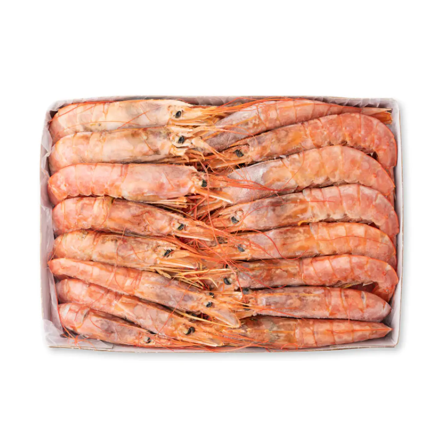 LANGOSTINO PATAGÓNICO ARGENTINO ENTERO CAJA  2